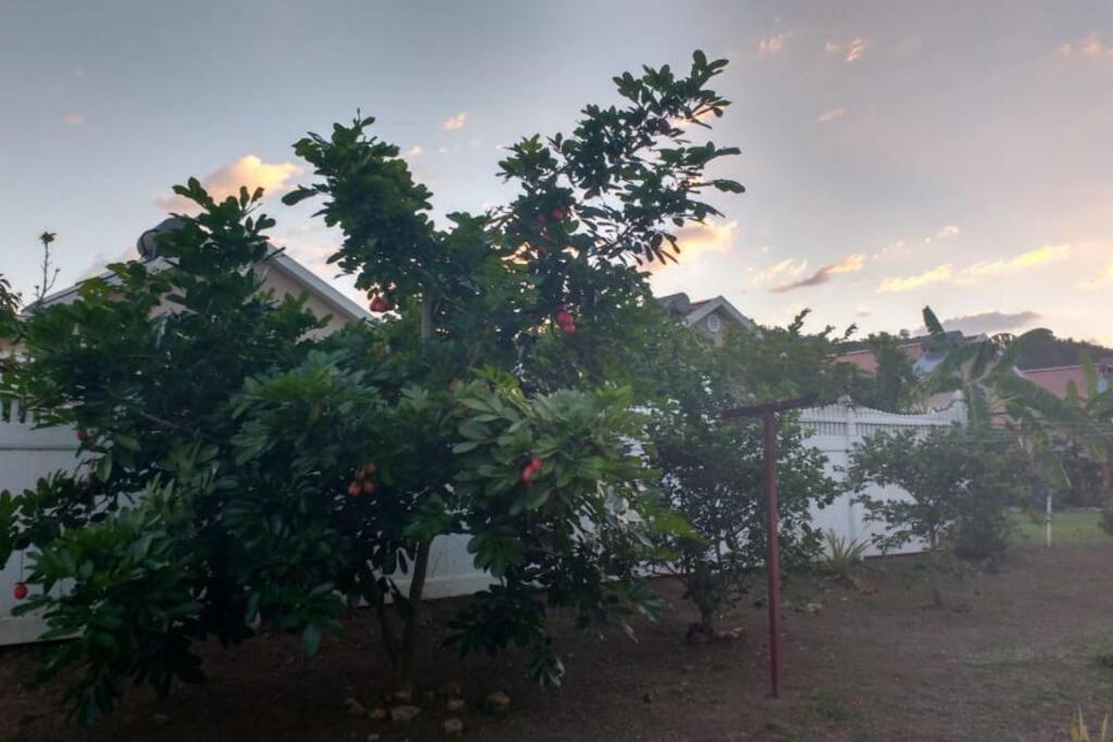 Comfortable Strategic Lodging Quarters Spanish Town Экстерьер фото